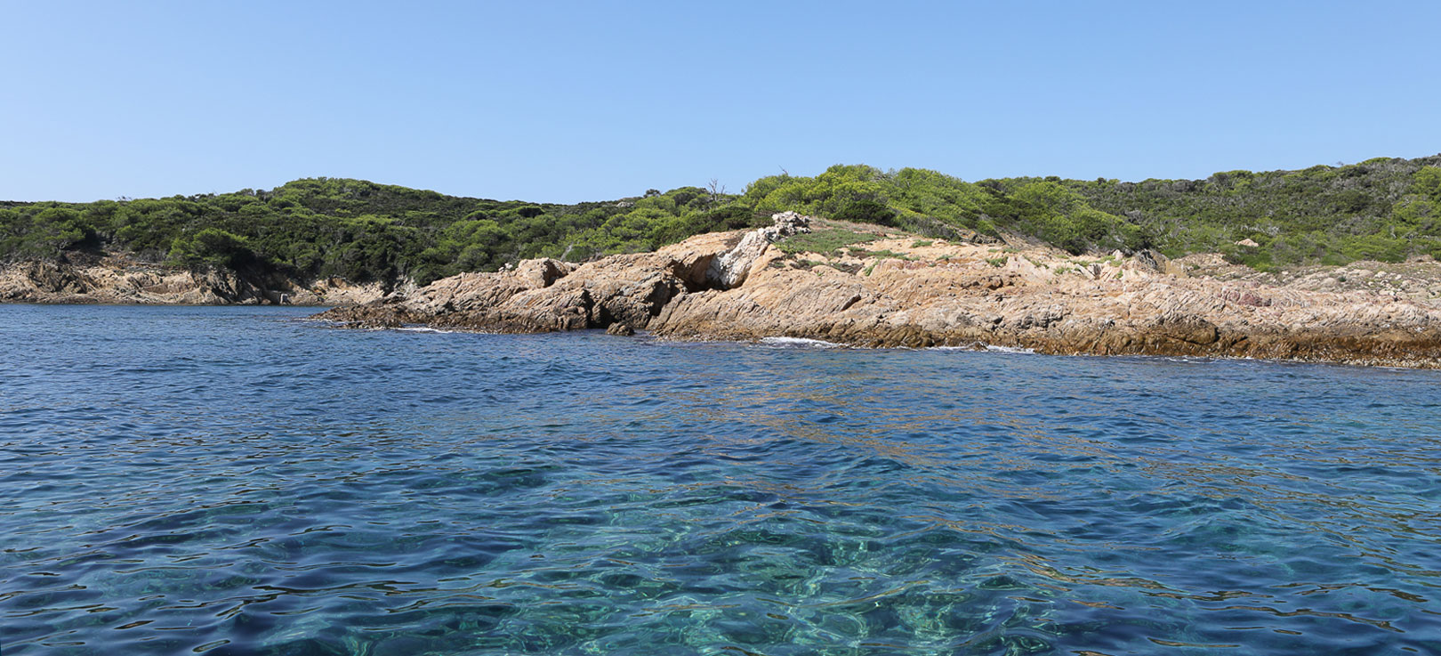 Promenade en Mer au Cœur du Parc National de Port-Cros | Îlot de Bagaud