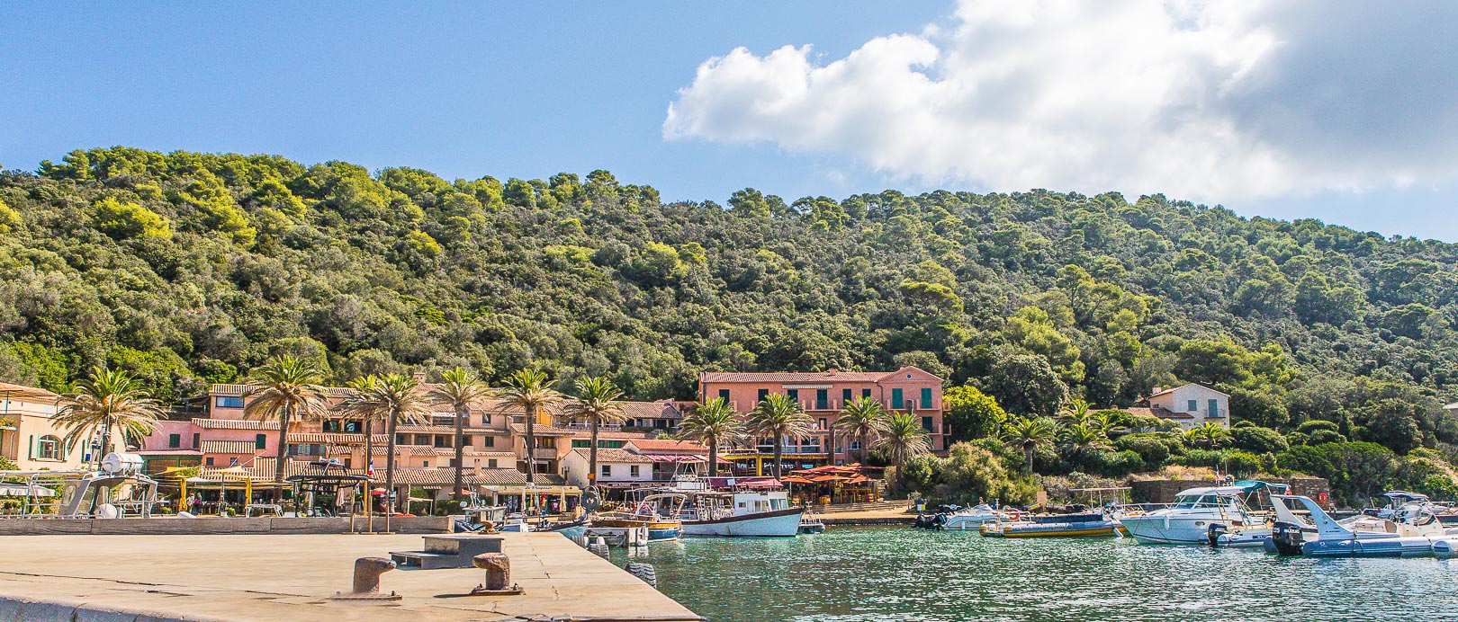 Balade en Mer au Cœur du Parc National de Port-Cros| Port de Port-Cros