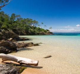 Bateau pour Porquerolles