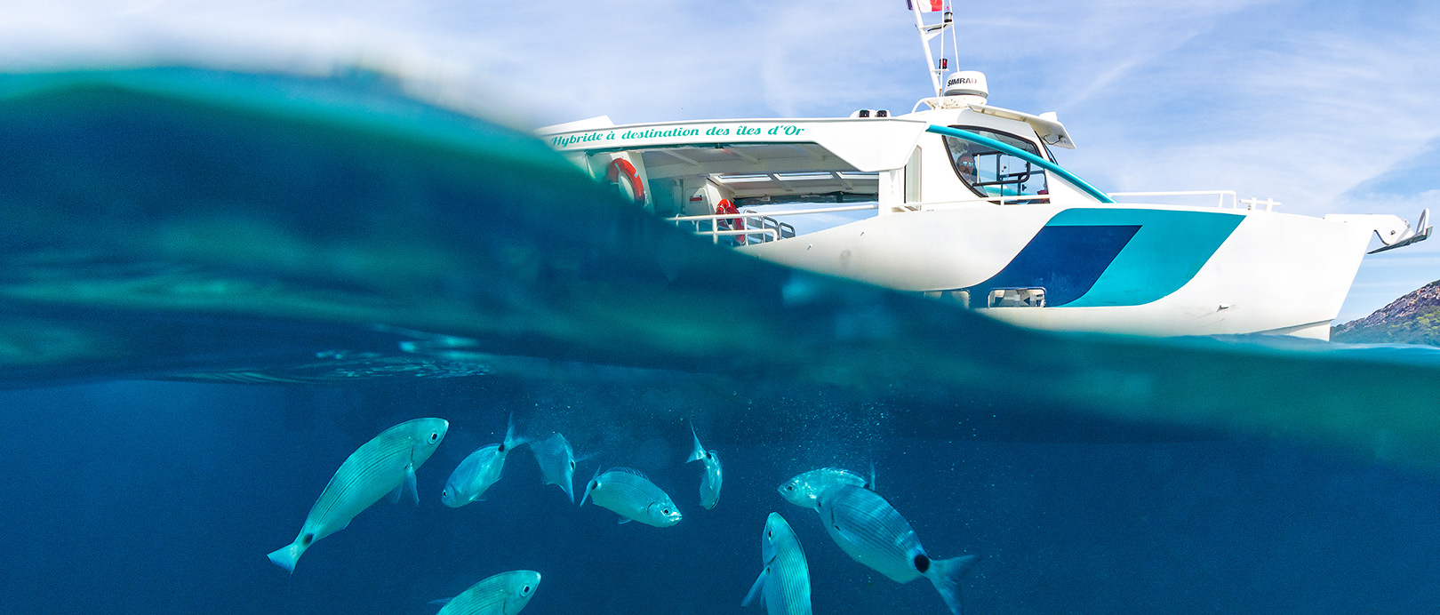 Promenade en Mer en bateau dans le Parc National de Port-Cros